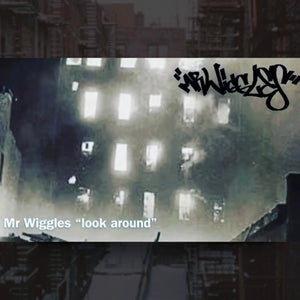 Bronx Video