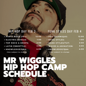 MR WIGGLES CAMP San Francisco February 3/4
