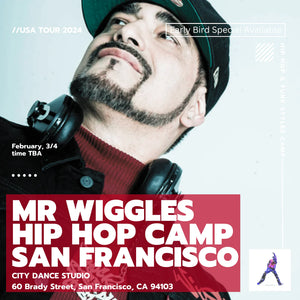 Pre-Order Mr Wiggles USA Camp Tour Merch Bundle